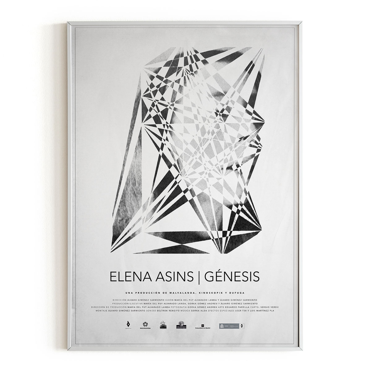 diseño cartel documental Elena Asins